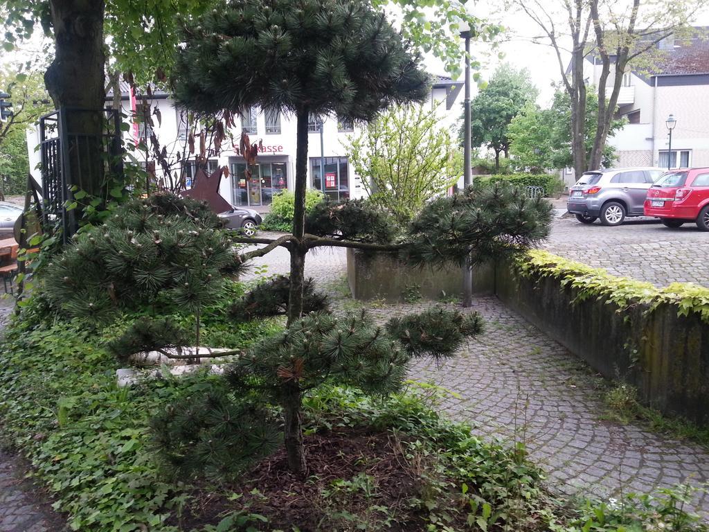 Gasthof Altes Farmhaus Und Apartment Lienen Luaran gambar